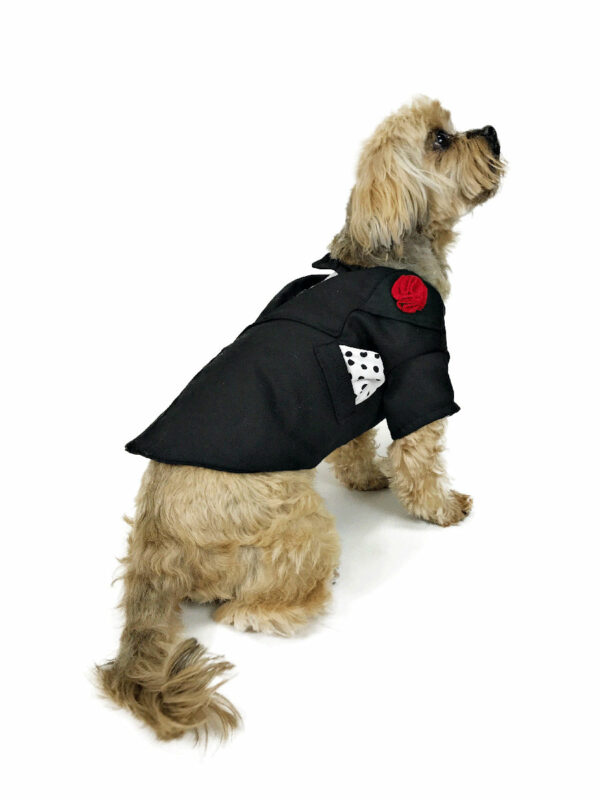 Back view of dog wearing elegant tuxedo