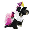 Dog in unicorn costume looking to one side
