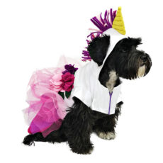 Dog in unicorn costume looking to one side