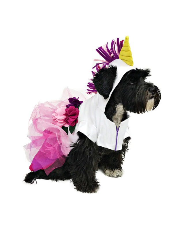 Dog in unicorn costume looking to one side