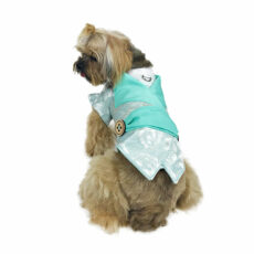 Back view of dog with shiny formal outfit