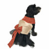 Back view of dog with pearl studded dress with bow