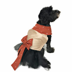 Back view of dog with pearl studded dress with bow