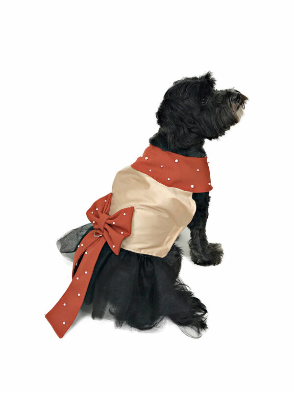 Back view of dog with pearl studded dress with bow