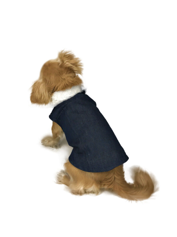 back view of dog wearing denim outfit