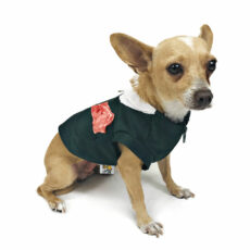 Dog sitting wearing tuxedo with pink handkerchief