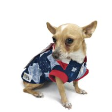 Puppy with patriotic outfit looking to the side