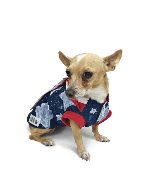 Puppy with patriotic outfit looking to the side