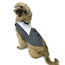 Back side of dog wearing grey tuxedo