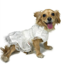 Side view of dog wearing white wedding dress
