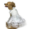 Back view of dog wearing white wedding dress