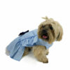 Dog wearing blue ruffle dress looking to side