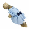 Back view of dog wearing blue ruffle dress