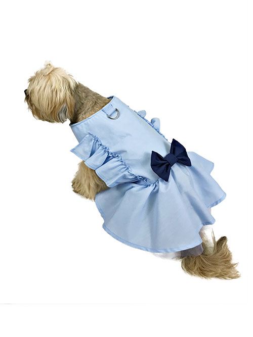 Back view of dog wearing blue ruffle dress