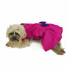 magenta dog dress on a dog laying down