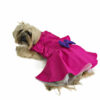 magenta dog dress on a dog resting