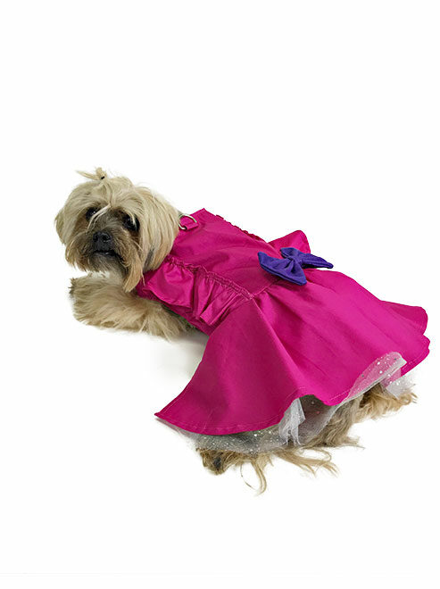 magenta dog dress on a dog resting