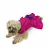 magenta dog dress on a sitting dog