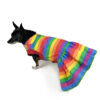 Dog wearing rainbow colored dress looking left
