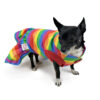 Dog wearing rainbow colored dress