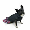 Dog wearing a vest with tartan fabric looking at camera