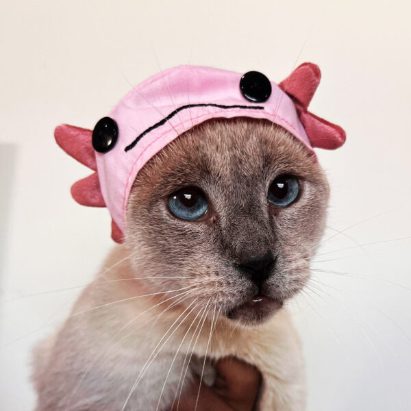 Pink Axolotl Cat Hat - Image 5