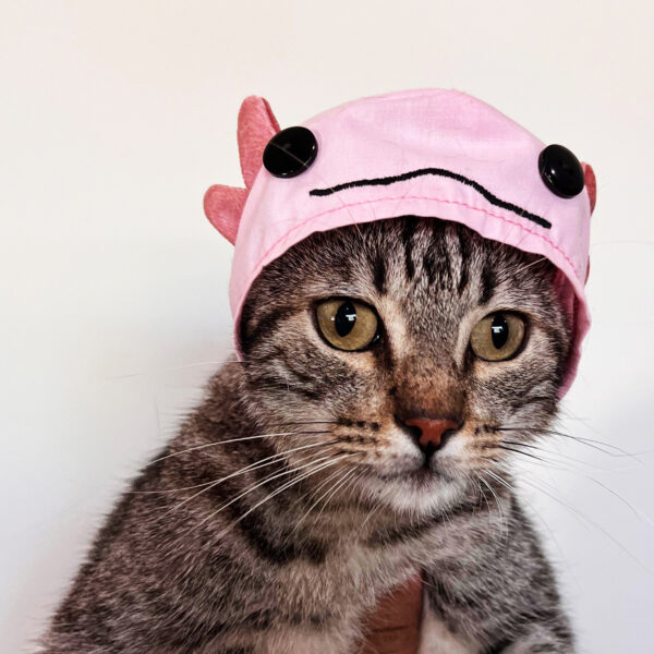 Pink Axolotl Cat Hat